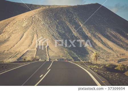 Timanfaya National Park in Lanzarote, Canary Timanfaya National Park in Lanzarote, Canary 37309934