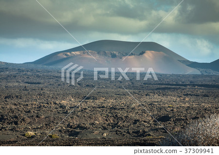 Timanfaya National Park in Lanzarote, Canary Timanfaya National Park in Lanzarote, Canary 37309941