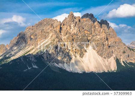 National Park panorama and Dolomiti mountains National Park panorama and Dolomiti mountains 37309963