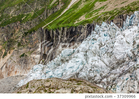 Argentiere Glacier view, Chamonix, Mont Blanc  37309966