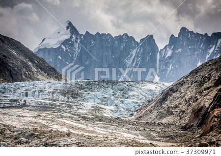 Argentiere Glacier view, Chamonix, Mont Blanc  37309971