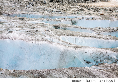 Argentiere Glacier in Chamonix Alps, Mont Blanc 37310001
