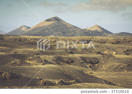 Timanfaya National Park in Lanzarote, Canary  37310018