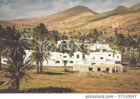 La Haria in Lanzarote - popular tourist  37310047