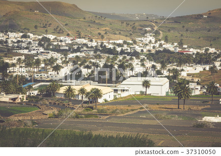 La Haria in Lanzarote - popular tourist  37310050