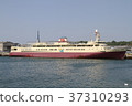 Youseisho輪 Youseisho輪 37310293