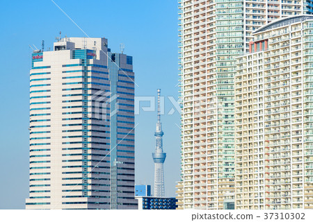 Sky Tree seen from Toyosu 37310302