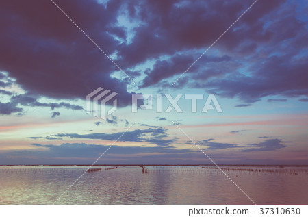 Sky and sea 37310630