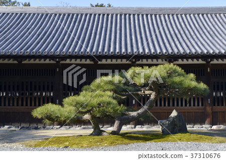 Tofukuji Temple Toshi 37310676