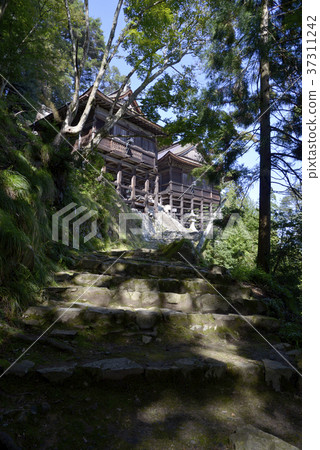 Hiyoshi Taisha Sannomiya / Ushio 37311242