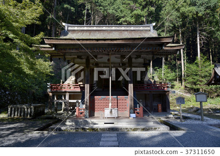Hiyoshi Taisha Shirahama Palace Hiyoshi Taisha Shirahama Palace 37311650