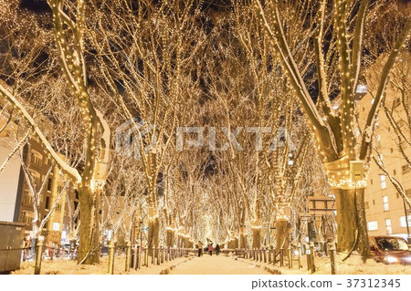 SENDAI 's pageant SENDAI 's pageant 37312345