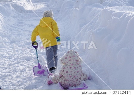 Brother snowman 37312414