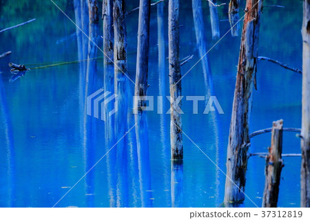 Blue pond Blue pond 37312819