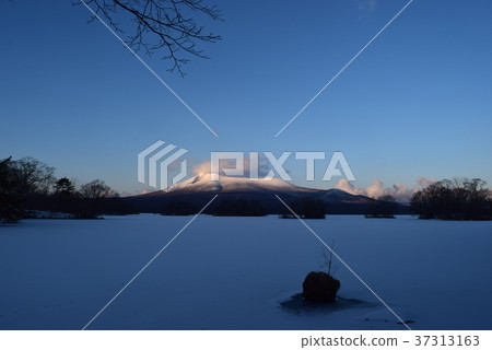 函館大沼公園在冬天 函館大沼公園在冬天 37313163