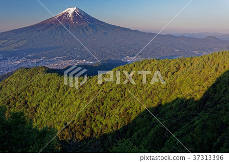 從新鮮的綠色味噌看見的早晨富士山 從新鮮的綠色味噌看見的早晨富士山 37313396