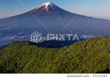 從新鮮的綠色味噌看見的早晨富士山 從新鮮的綠色味噌看見的早晨富士山 37313397