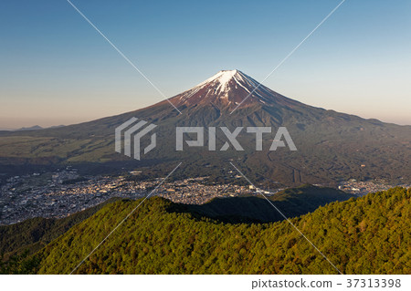 從新鮮的綠色味噌看見的早晨富士山 從新鮮的綠色味噌看見的早晨富士山 37313398