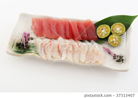 新鮮的生魚片 新鮮的生魚片 37313407