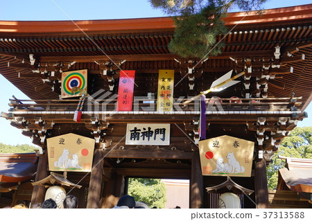 1月明治神宮23年南平出生第一年 1月明治神宮23年南平出生第一年 37313588