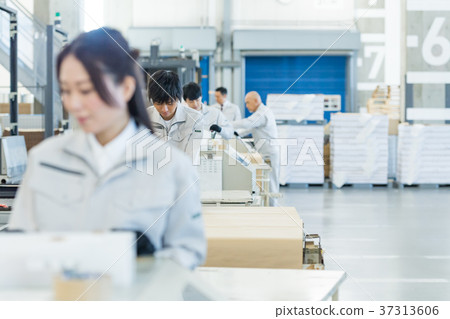 Distribution center, warehouse, staff 37313606