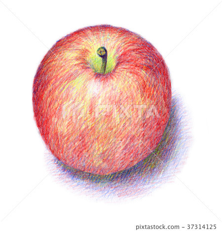 用彩色鉛筆繪製的蘋果 用彩色鉛筆繪製的蘋果 37314125