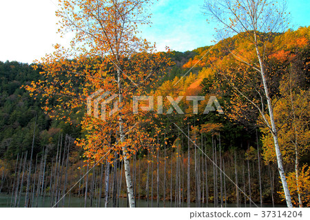 Ontake Natural lake in the early morning 37314204