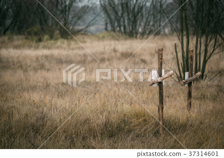 Grave of the fallen soldiers in the field 37314601