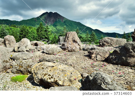 Nikko Shirane Mountain 37314603