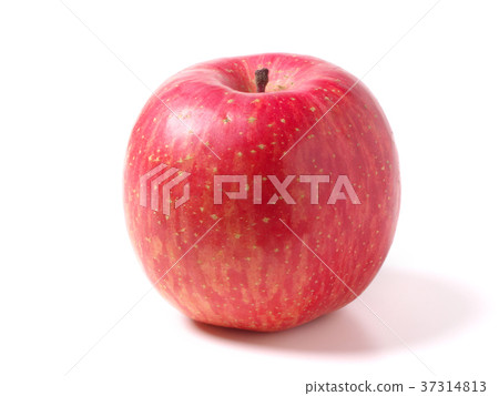 Apple (Shinshu apple) Apple (Shinshu apple) 37314813