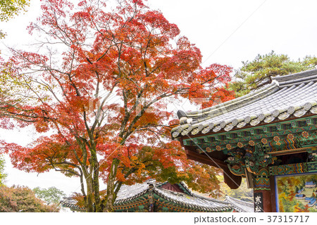 Baekyangsa Temple, Baekam Mountain, Changseong County, Jeonnam 37315717