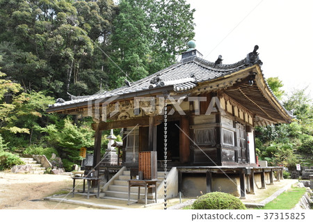 Zenji寺 Zenji寺 37315825