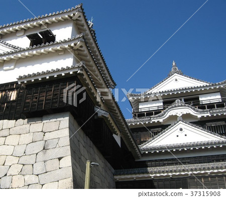 Matsuyama Castle looking up Matsuyama Castle looking up 37315908