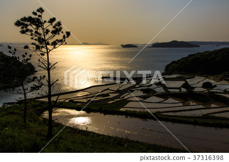 Sunset and water scenery of Tsuchiya Tanada Matsuura City, Nagasaki Prefecture Sunset and water scenery of Tsuchiya Tanada Matsuura City, Nagasaki Prefecture 37316398