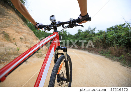 cyclist cycling mountain bike on trail 37316570