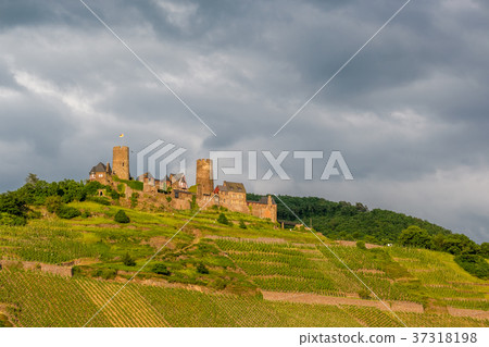 Thurant Castle and vineyards  37318198