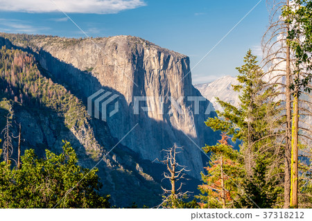 Yosemite National Park Valley summer landscape Yosemite National Park Valley summer landscape 37318212