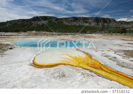 Hot thermal spring in Yellowstone 37318232