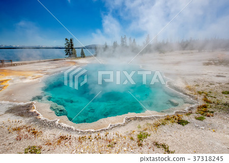 Hot thermal spring in Yellowstone 37318245