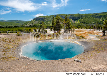 Hot thermal spring in Yellowstone 37318251