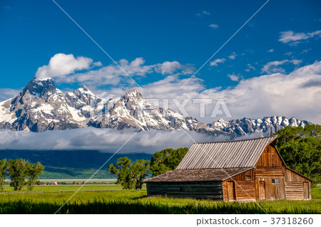 Old barn in Grand Teton Mountains Old barn in Grand Teton Mountains 37318260