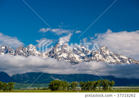 Grand Teton Mountains with low clouds Grand Teton Mountains with low clouds 37318262
