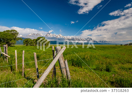 Grand Teton Mountains with low clouds Grand Teton Mountains with low clouds 37318263