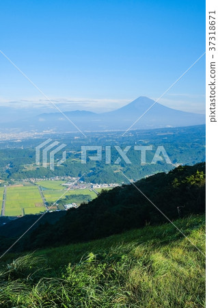 從伊豆天際線看到的富士山（八月） 37318671