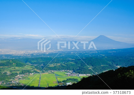 從伊豆天際線看到的富士山（八月） 37318673