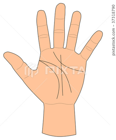 Palm 37318790
