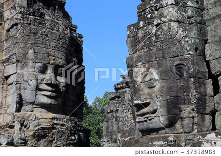 巴戎的臉 37318983