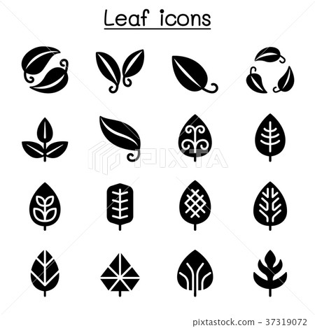 Leaf icon set vector illustration graphic design-插圖素材 [37319072] - PIXTA圖庫