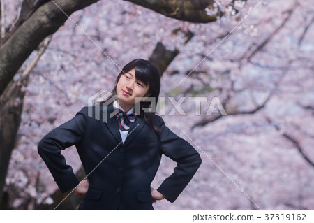Junior high school student and cherry blossom Junior high school student and cherry blossom 37319162