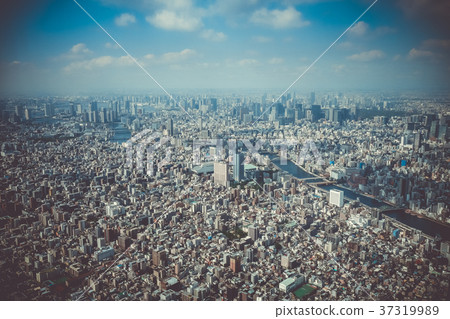 Tokyo city skyline aerial view, Japan Tokyo city skyline aerial view, Japan 37319989